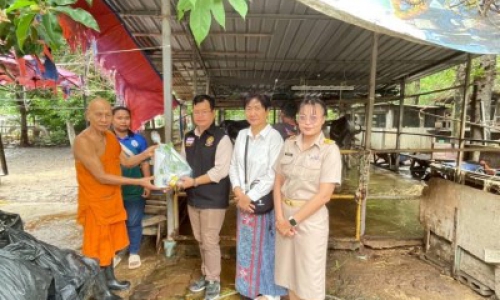 .วันอนุรักษ์ควายไทย