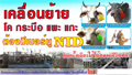 การเคลื่อนย้าย โค กระบือ แพะ แกะ ต้องมีเบอร์หู NID