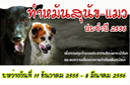 โครงการกำจัดโรคพิษสุนัขบ้าในพื้นที่เสี่ยง จังหวัดนนทบุรี (ทำหมันสุนัข-แมว) ระหว่างวันที่ 11 ธ.ค. 55-12 มี.ค. 56
