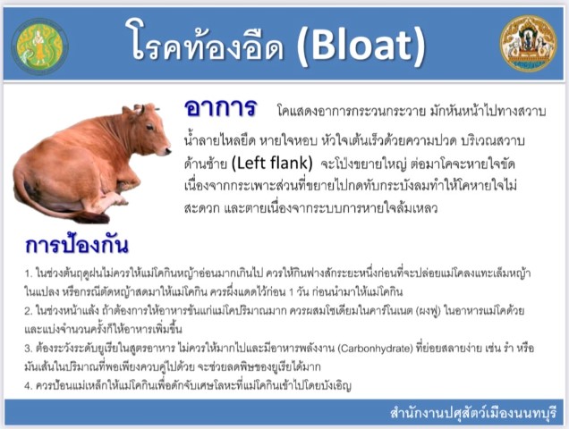 10-โรคท้องอืด (Bloat)