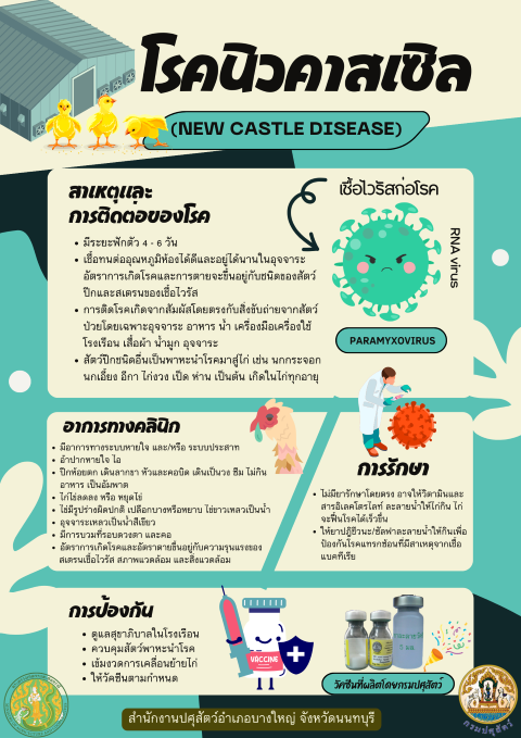 12-โรคนิวคาสเซิล