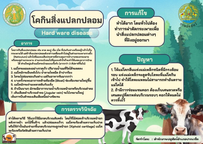 07-อาการโคกินสิ่งแปลกปลอม