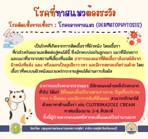 07-โรคที่ทาสแมวต้องระวัง "โรคกลากจากแมว"