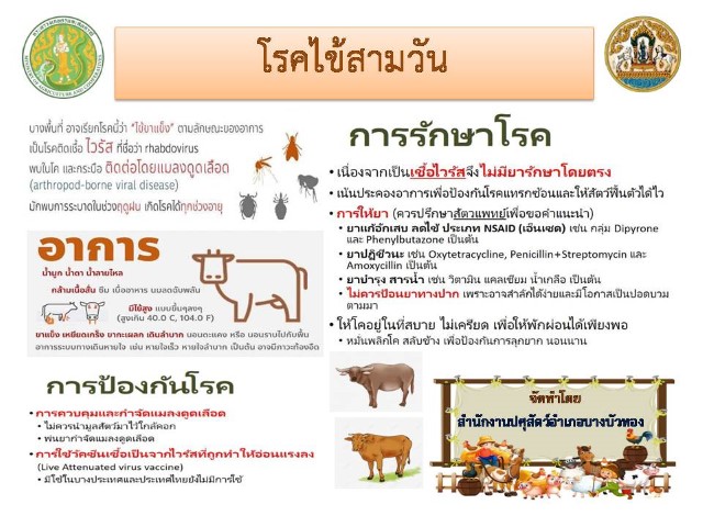 08-โรคไข้สามวัน