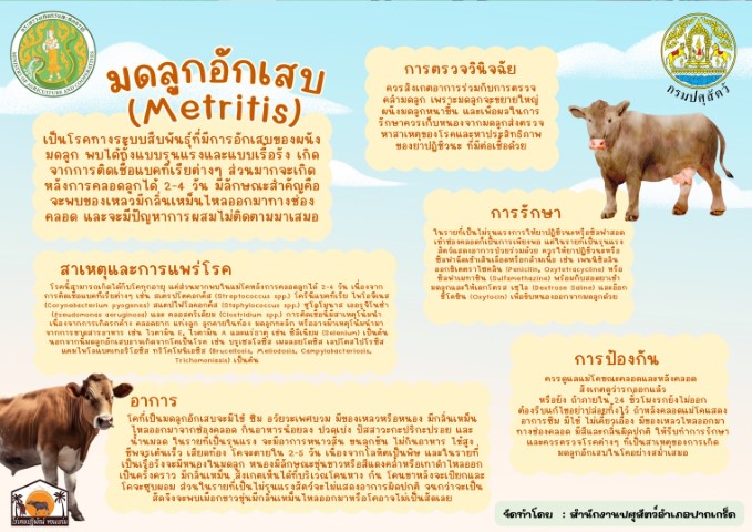 09-อาการมดลูกอักเสบ