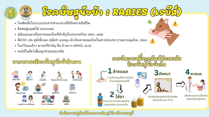 10-โรคพิษสุนัขบ้า