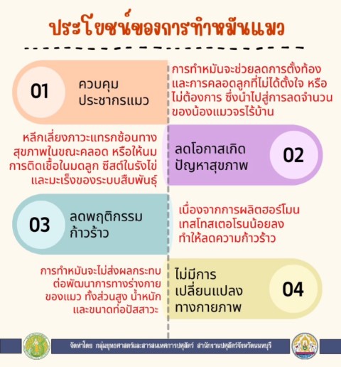 10-ประโยชน์ของการทำหมันแมว