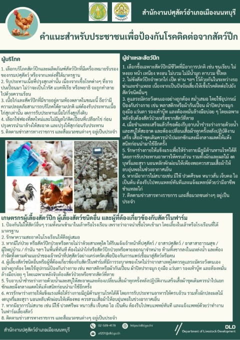 12-คำแนะนำสำหรับประชาชนเพื่อป้องกันโรคติดต่อจากสัตว์ปีก