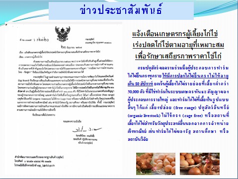 แจ้งเตือนเกษตรกรผู้เลี้ยงไก่ไข่ เร่งปลดไก่ไข่ตามอายุที่เหมาะสม เพื่อรักษาเสถียรภาพราคาไข่ไก่